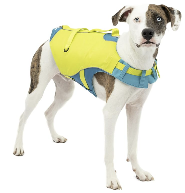 Kurgo Life Jacket