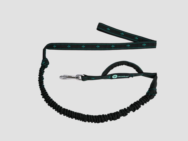 musher ANVIK Bungee - 1 Dog