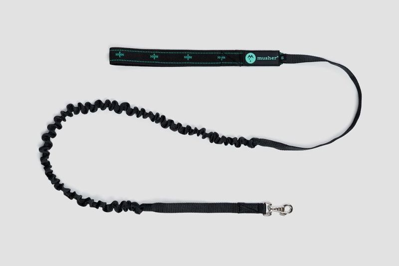 musher KOYUK Bungee small dog 