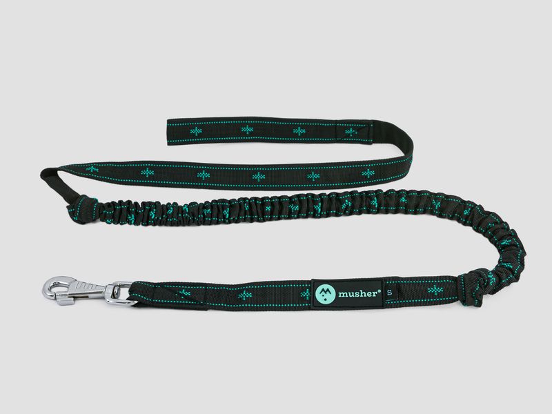musher KOYUK Bungee - 1 Dog