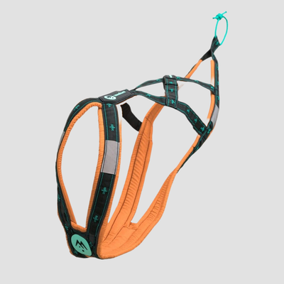musher ANVIK Harness 