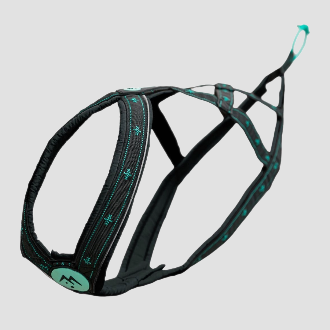 musher TAKOTNA Harness
