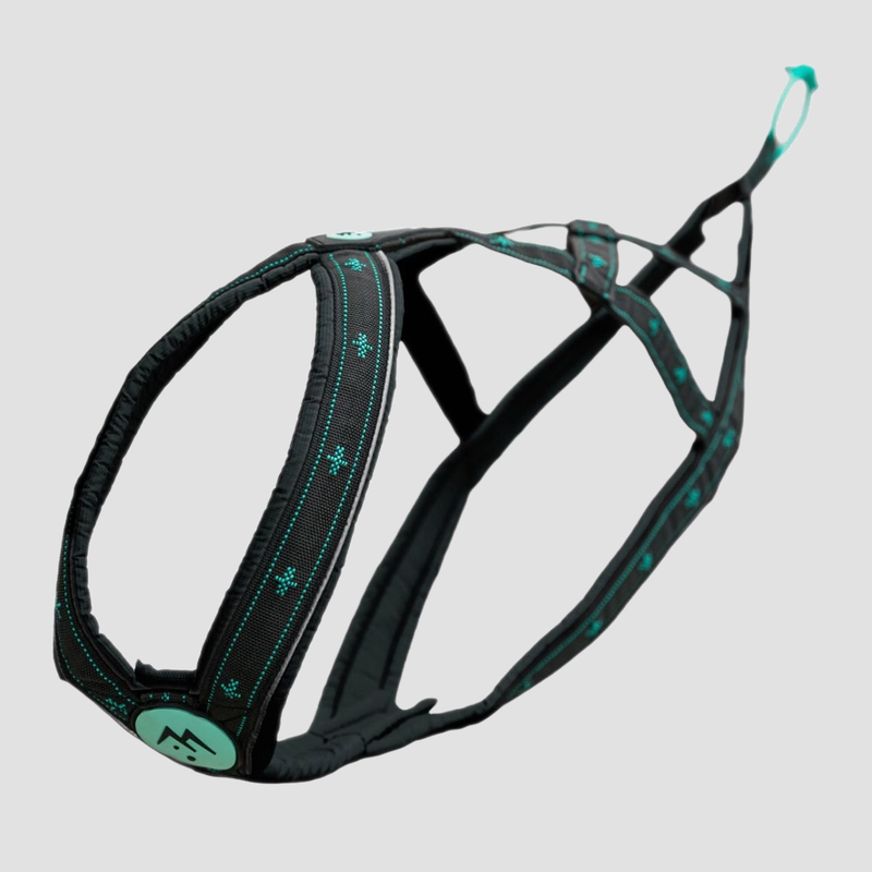 musher TAKOTNA Harness