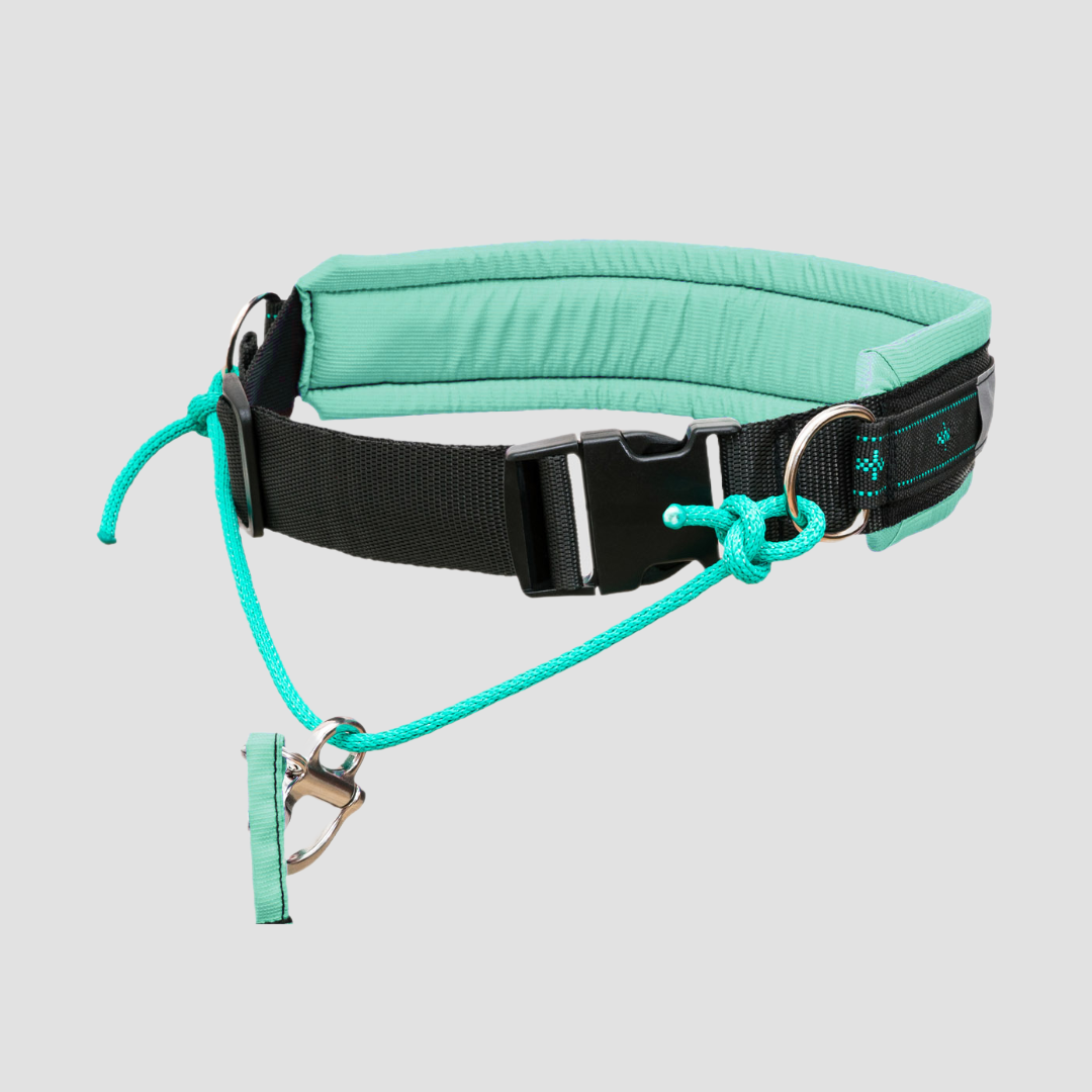 musher Freespirit Kids Belt