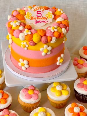 Cake & Cupcake Sets