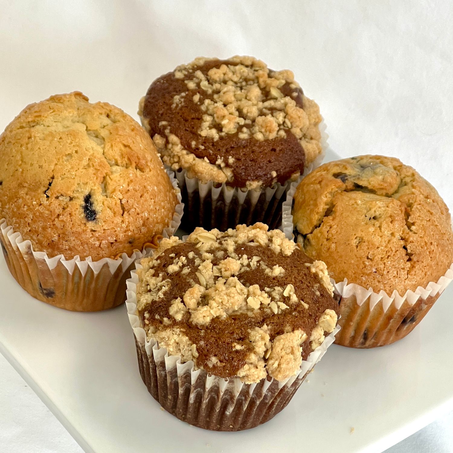 Holiday Muffin 4 Pack Holiday Muffin 4 Pack