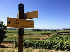 Côte de Beaune