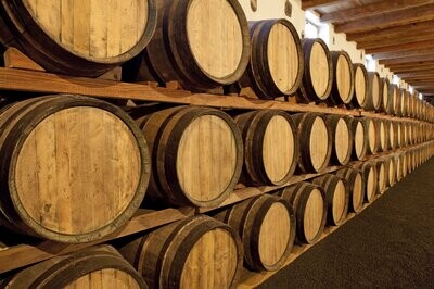 Magnums & Larger Formats