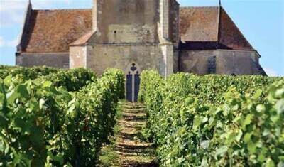 Côte de Nuits