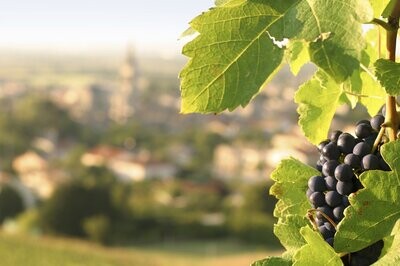 Saint-Émilion