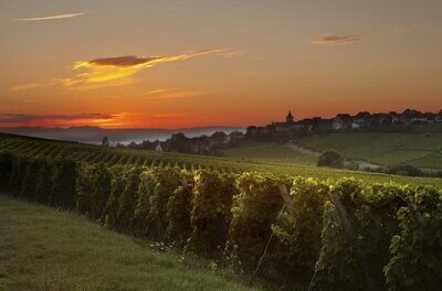Pomerol / Lalande de Pomerol