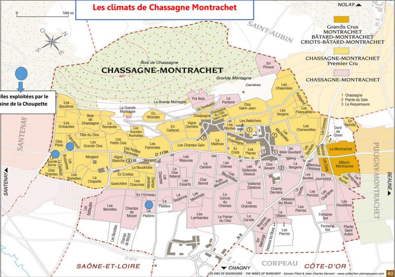 Chassagne-Montrachet 1er Cru Morgeot 2020 Domaine De la Choupette 75cl Chassagne-Montrachet 1er Cru Morgeot 2020 Domaine De la Choupette 75cl