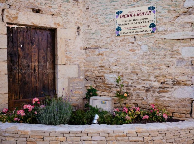 Chambolle-Musigny 1er Cru Fremieres 2020 Digioia Royer 6 x 75cl Chambolle-Musigny 1er Cru Fremieres 2020 Digioia Royer 6 x 75cl