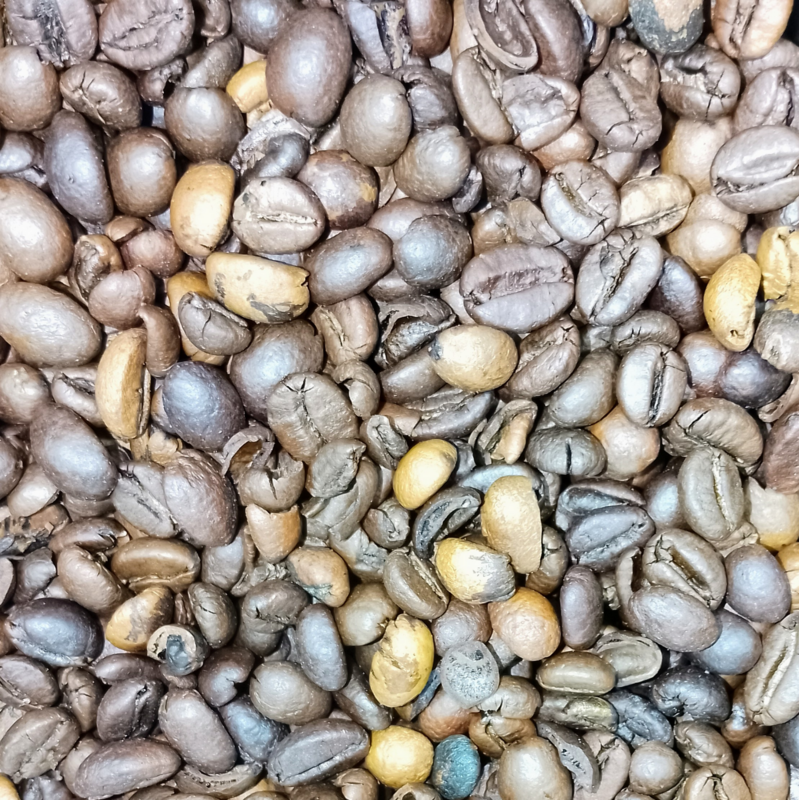 KAFFEE-NATURKOSMETIK von Beatrix Strobl