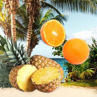 TROPICAL ANANAS ORANGE SERIE von Beatrix Strobl