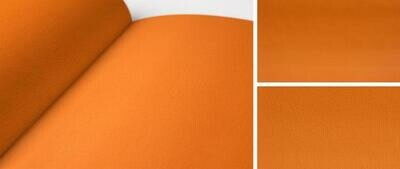 SOFT 253