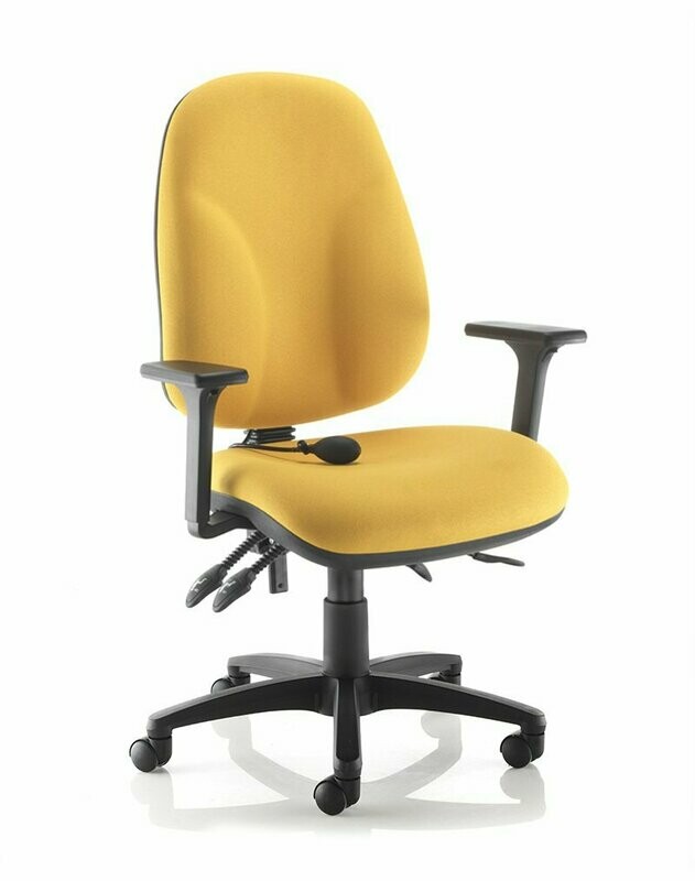 ERGO, MULTI-FUNCTION ARMS, LUMBAR PUMP
