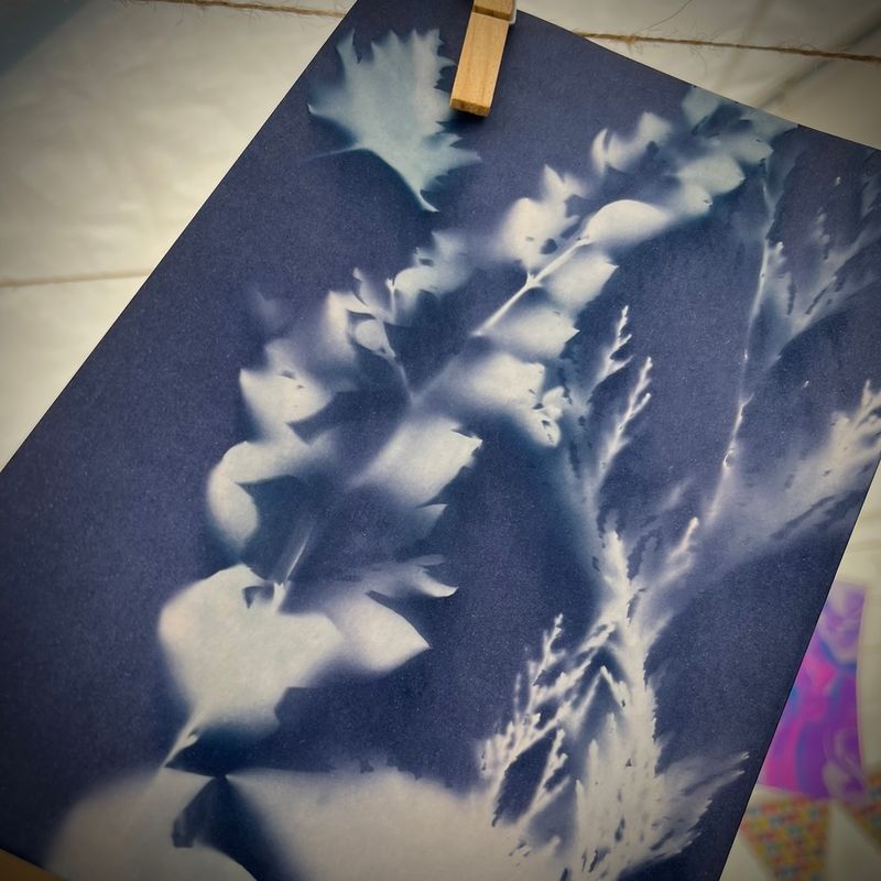 Cyanotype Workshops