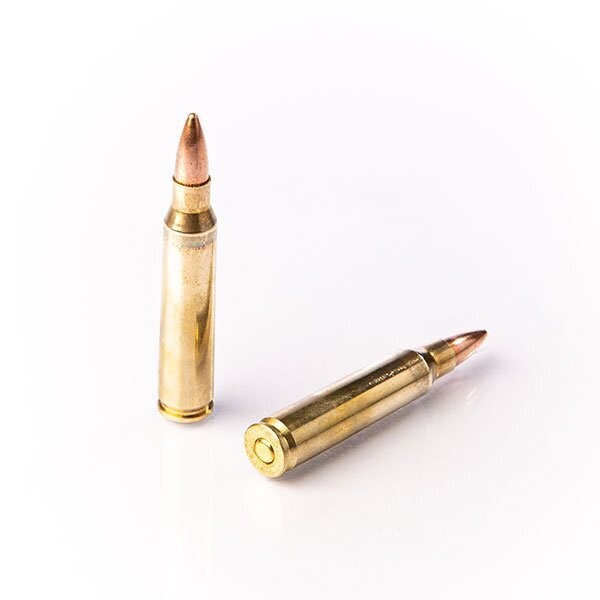 ​Cartouches Fiocchi Classic C/.223 Rem - 55 grains - FMJ par 50