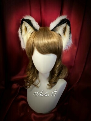 Finding Leopard cat headbow