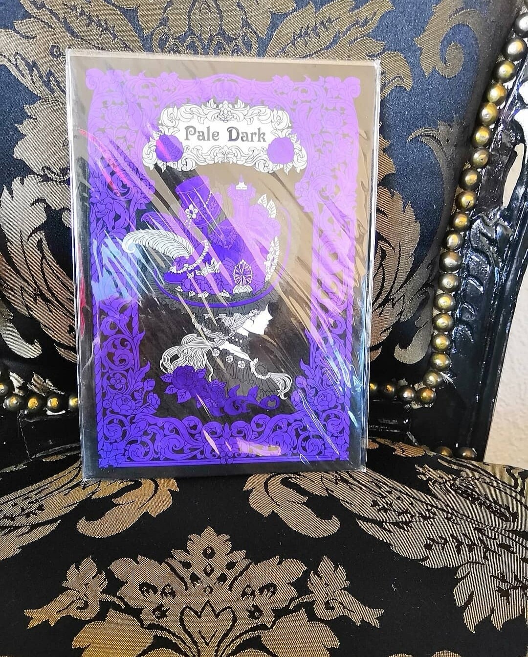Illustration book &#39;&#39;Pale Dark&#39;&#39;