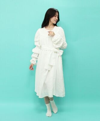 Sleeping beauty negligee dress