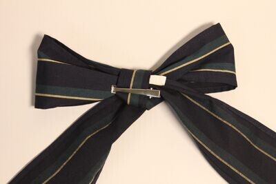 Benjamin ribbon clip