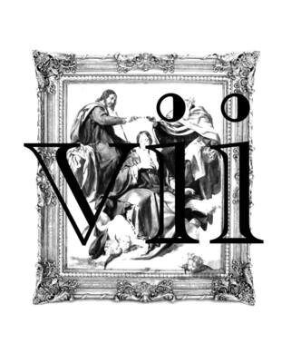 vii