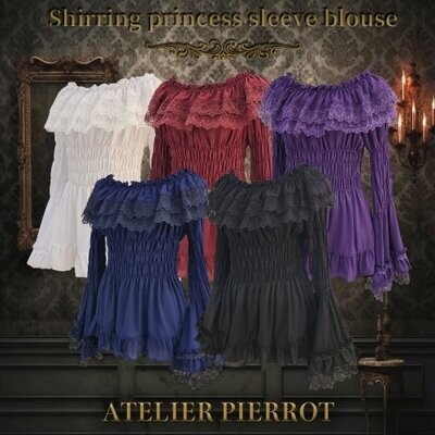 Lace shirring princess sleeve blouse