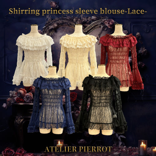 Shirring princess sleeve blouse-Lace-