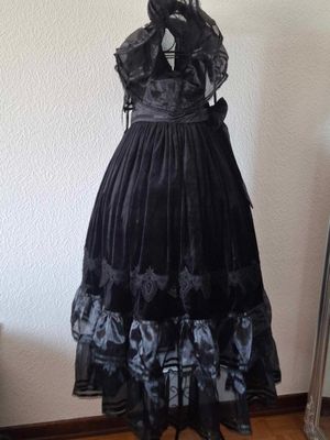 Luxury dark velour dress