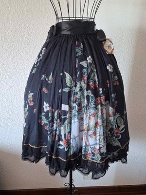 Rasberry and the letter from forest skirt
