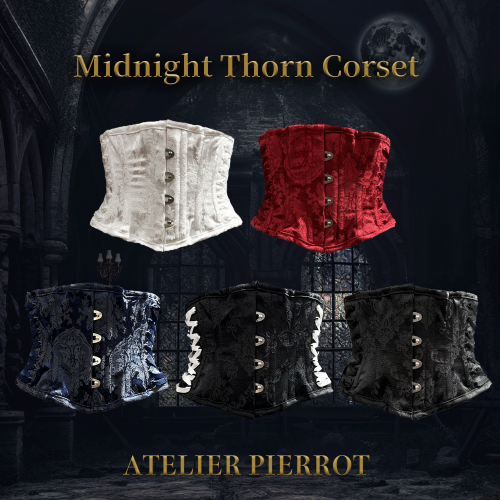 Midnight Thorn Corset