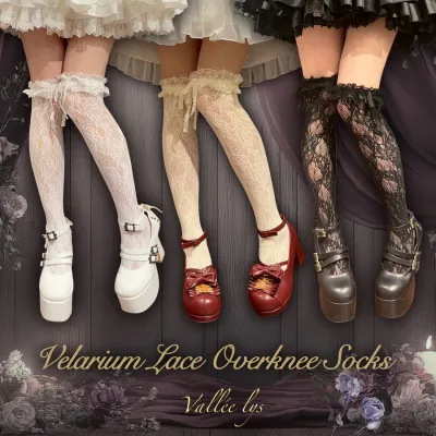 【Vallée lys】Velarium Lace Overknee Socks