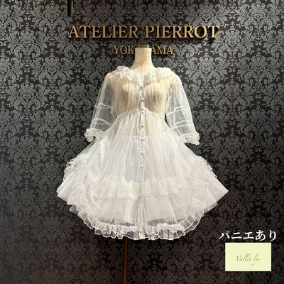 【Vallée lys】Nocturne Sheer Tulle Dress
