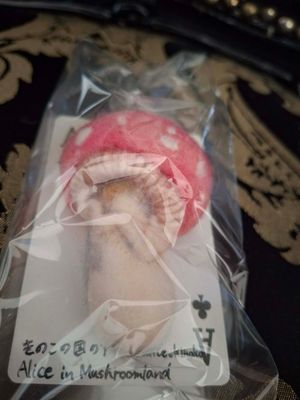 Mushroom Brooch