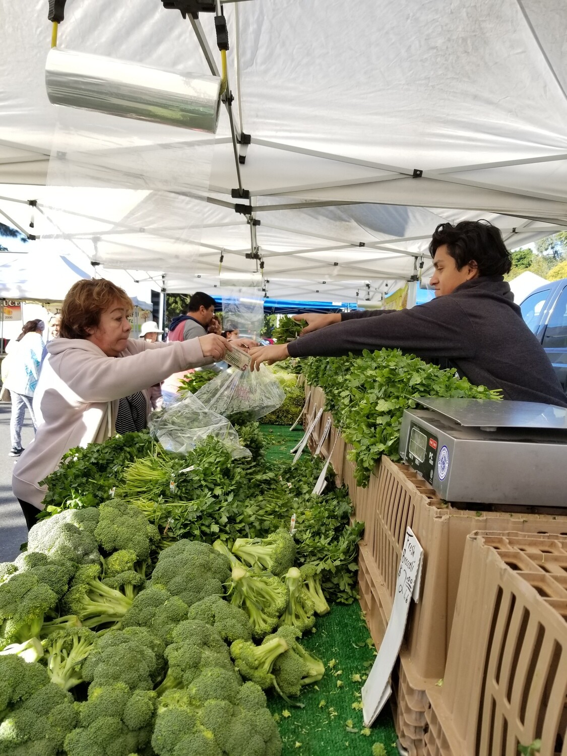 22 items for $40 Veggie Box.
