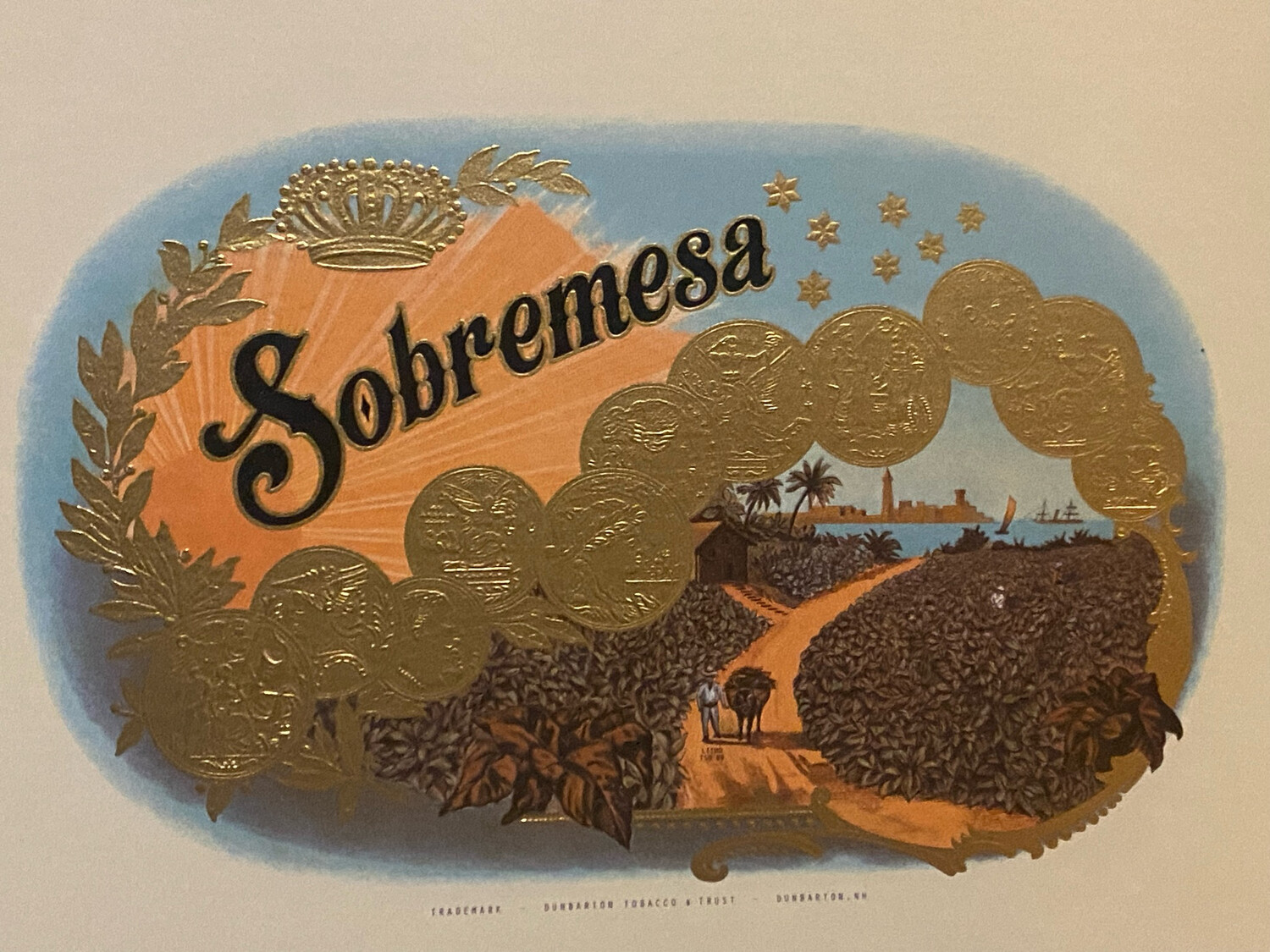 DTT Sobremesa Brulee Robusto 5-1/2x52, 13&#39;s