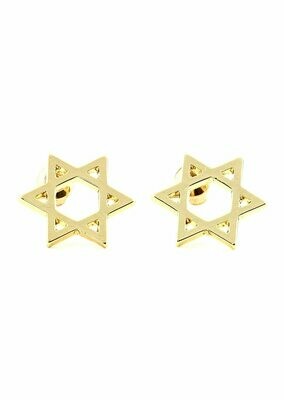 Gold Tone Star of David Earrings - Posts