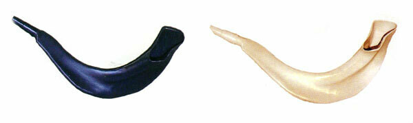 Real Looking Plastic Shofar - Brown