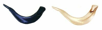 Real Looking Plastic Shofar - Brown