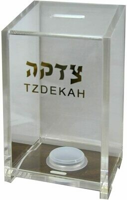Lucite Tzedakah Box - Gold
