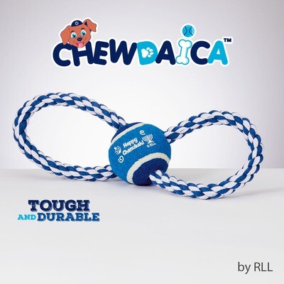 &quot;Chewdaica&quot; Chanukah Rope Dog Toy