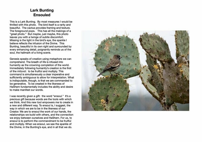 Lark Bunting : Ensouled