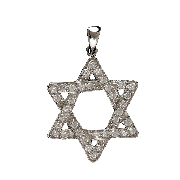 Stl/Slv Star of David &quot;Zirconia Diamond&quot; Necklace