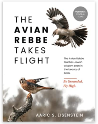 The Avian Rebbe Takes Flight: Volume 1: Central Texas