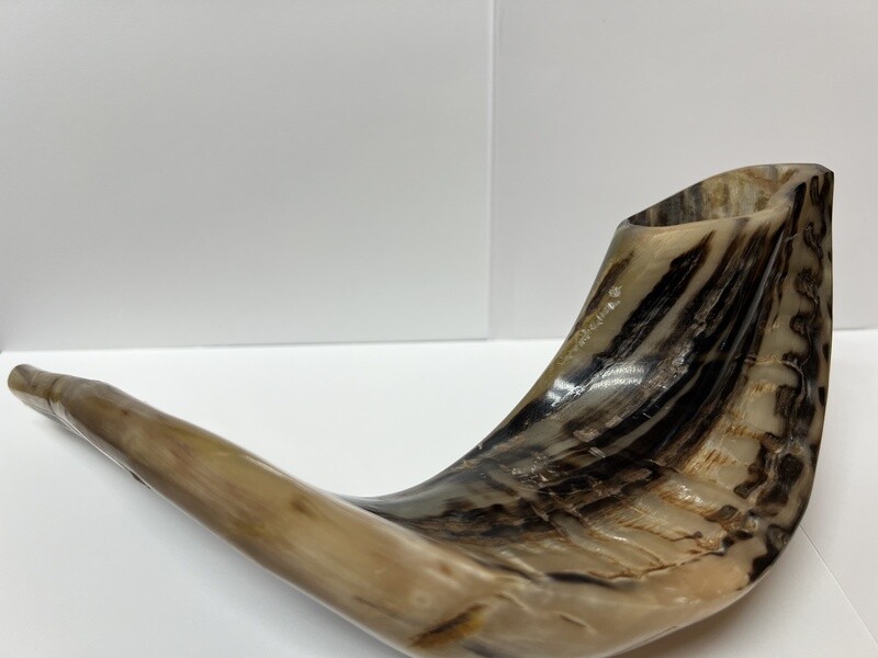 Kosher Shofar