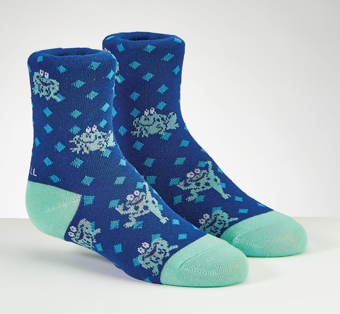 Passover Socks - Kid