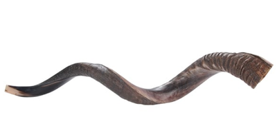 Large Shofars