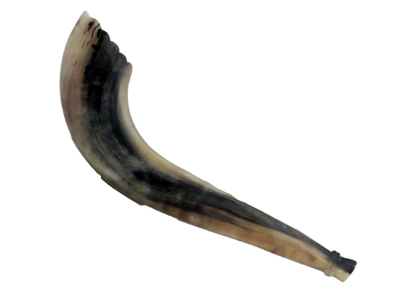 Kosher Moroccan Shofar med